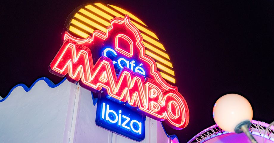 Your Top Mambo Memories of 2025 — Chosen by YOU!